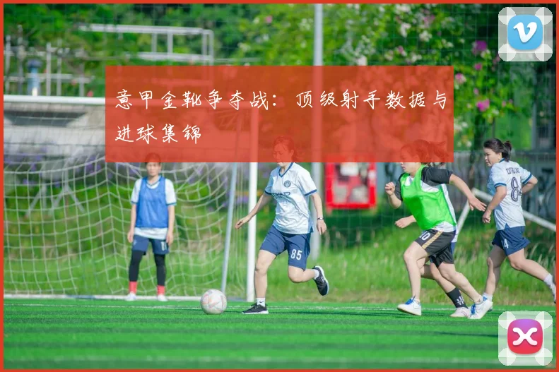 意甲金靴争夺战：顶级射手数据与进球集锦