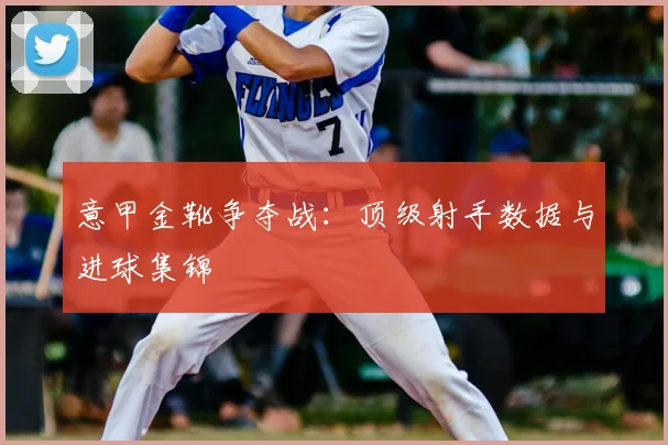 意甲金靴争夺战：顶级射手数据与进球集锦